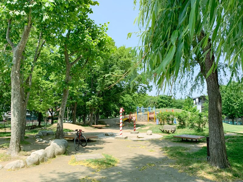 park_miyanomorisugi_01.jpg